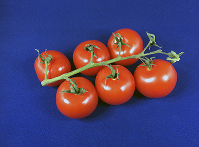 Tomatoes and reflectance spectroscopy