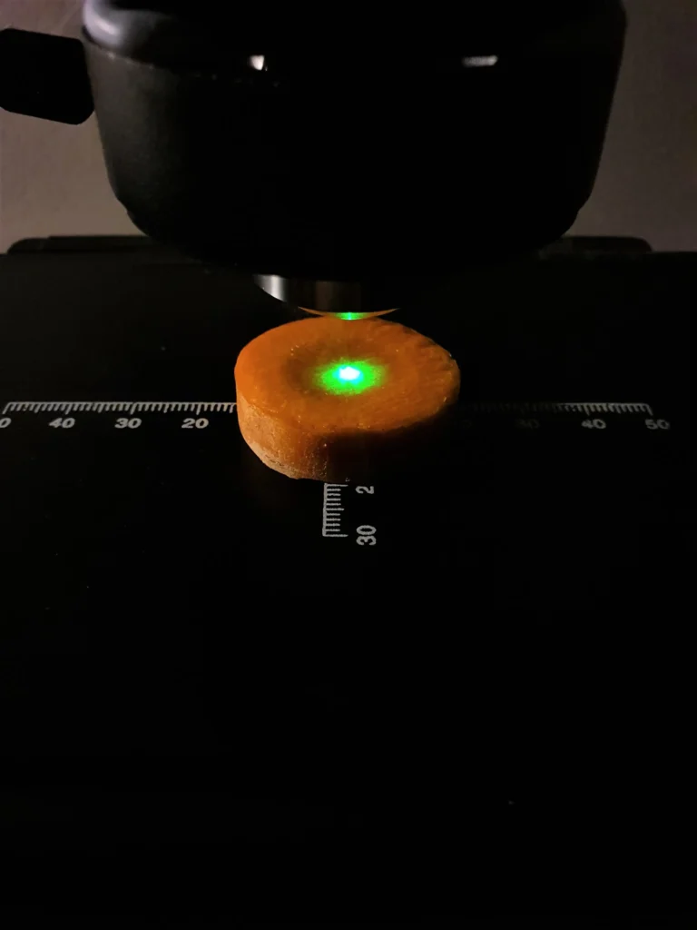 Carrot slice under the Raman probe