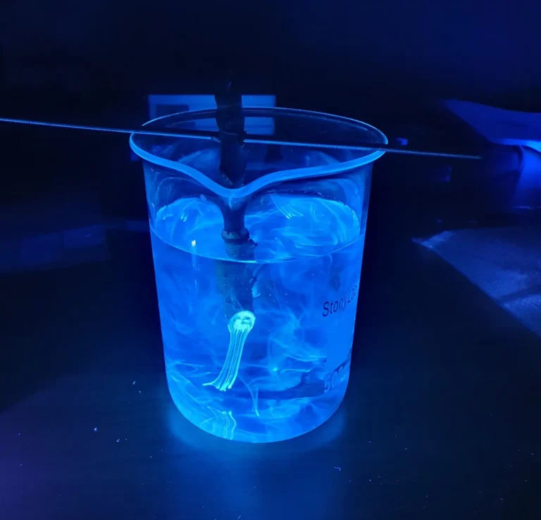 Aesculin fluorescence in beaker